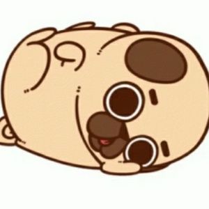 Meet your Posher, Shaye